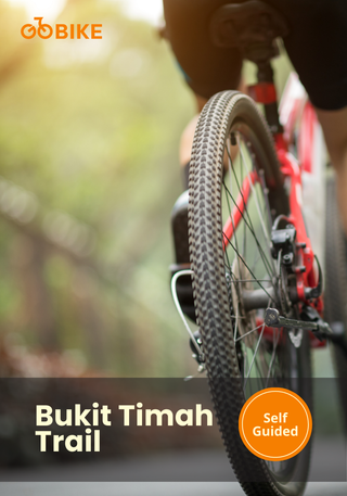 Bicycle tire on the Bukit Timah trail with GoBike.