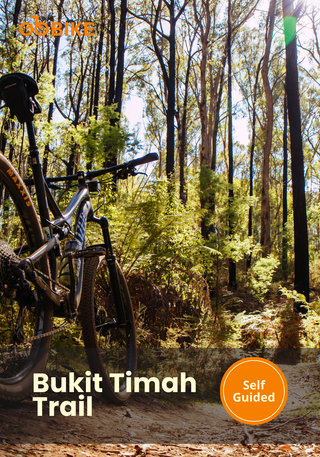 Bicycle leaning against a tree in a forest at Bukit Timah Trail with GoBike.