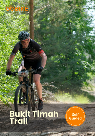 Person mountain biking on the Bukit Timah Trail with GoBike.