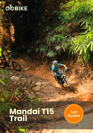 Two people riding mountain bikes on a trail with GoBike at Mandai T15 Trail