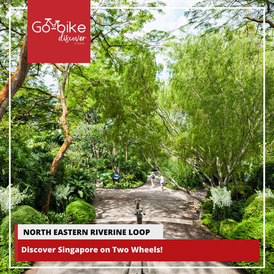 GoBikeSG's Northern Eastern Riverine Loop - discover Singapore on two wheels.