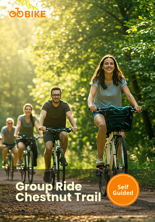 group cycling Singapore, bike tours for groups, cycling with friends Singapore, family bike rides, team cycling activities, Park Connector Network group rides