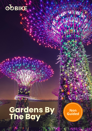 Cyclist exploring Gardens by the Bay on GoBike rental bicycle