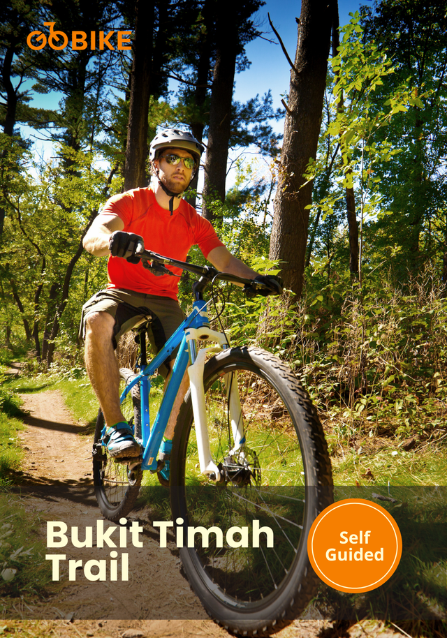Bukit Timah Trail
