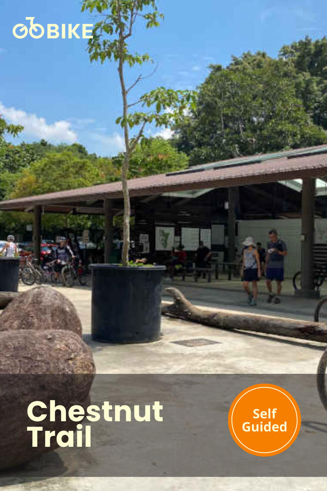 Curated Cycling Experiences for Tourists, Locals & Teams. - GoBike