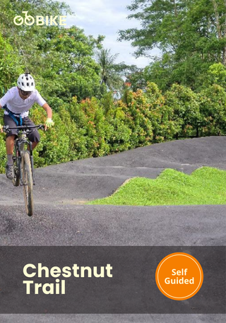 Person riding a bike on a trail with trees in the background, featuring the GoBike brand.