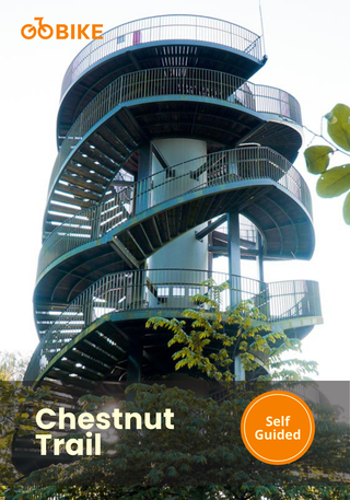 Spiral staircase structure at Chestnut Trail with GoBike.