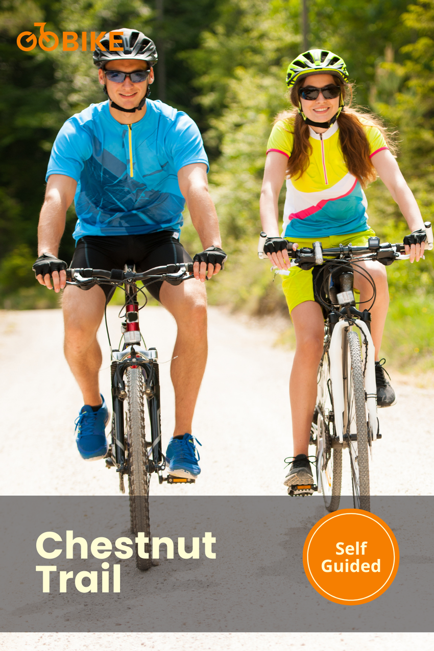 Curated Cycling Experiences for Tourists, Locals & Teams. - GoBike