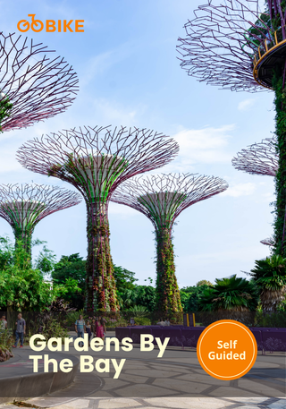 Explore Gardens by the Bay with Supertrees with GoBike Singapore.