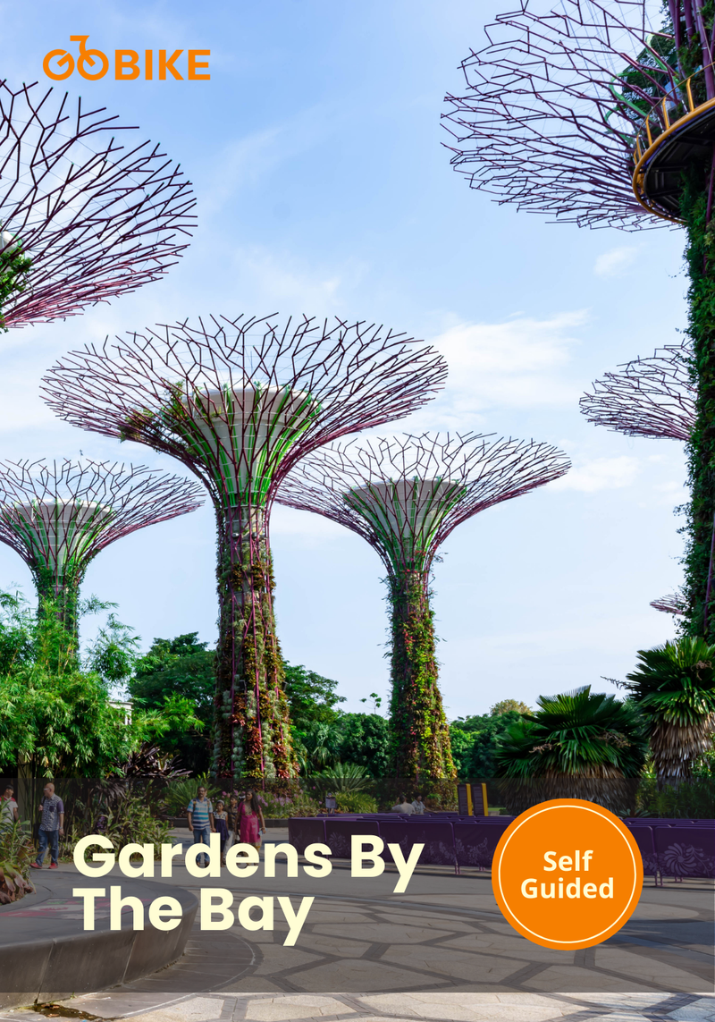 Explore Gardens by the Bay with Supertrees with GoBike Singapore.