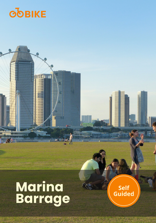 People sitting on the grass at Marina Barrage and Singapore Flyer in the background with GoBike Singapore.