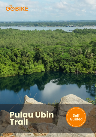 Scenic view of Pulau Ubin Trail with a scenic view of a lake and forest with GoBike.