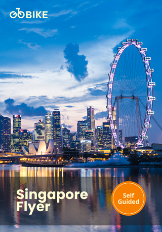 Singapore Flyer with GoBike Singapore with the city skyline.