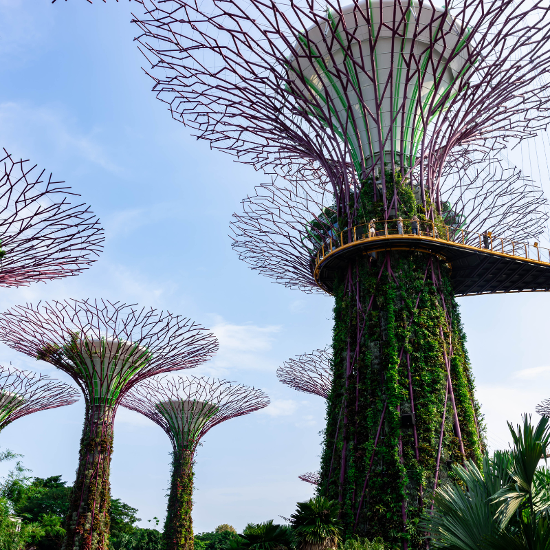 Escape the Ordinary: Discover Singapore on Two Wheels – GoBike