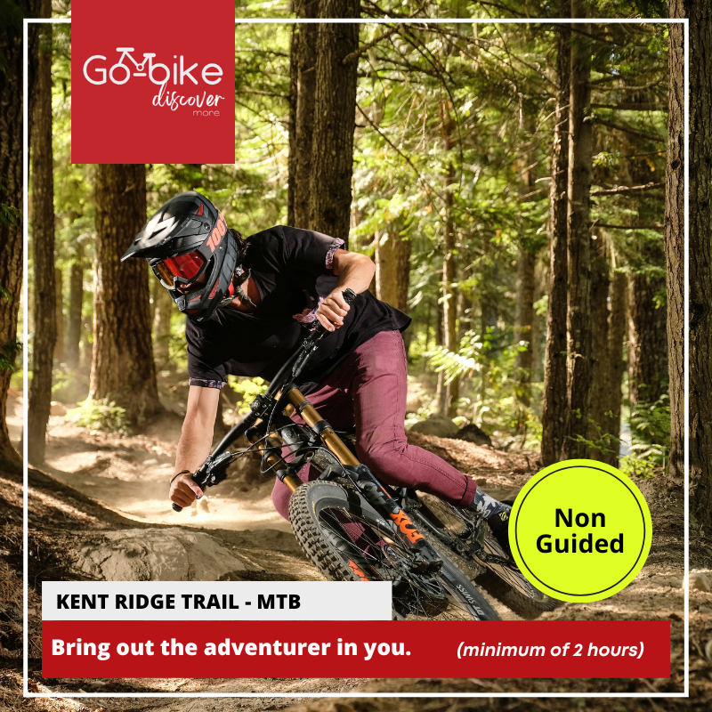 Singapore bike rentals Cycling tours Singapore Bicycle rental Singapore Explore Singapore by bike Singapore cycling routes GoBike SG Pedal-powered tours Singapore Cycling adventures Singapore Best cycling spots Singapore Family-friendly bike rentals