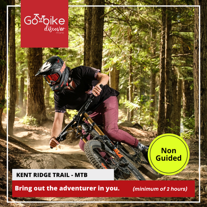 Singapore bike rentals Cycling tours Singapore Bicycle rental Singapore Explore Singapore by bike Singapore cycling routes GoBike SG Pedal-powered tours Singapore Cycling adventures Singapore Best cycling spots Singapore Family-friendly bike rentals
