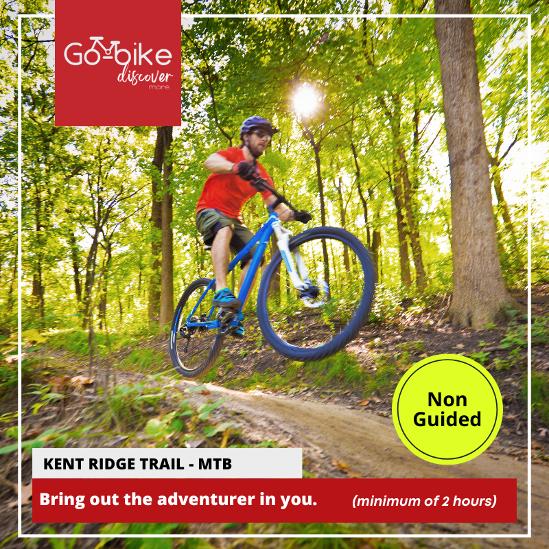 Singapore bike rentals Cycling tours Singapore Bicycle rental Singapore Explore Singapore by bike Singapore cycling routes GoBike SG Pedal-powered tours Singapore Cycling adventures Singapore Best cycling spots Singapore Family-friendly bike rentals