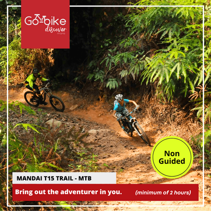 Singapore bike rentals Cycling tours Singapore Bicycle rental Singapore Explore Singapore by bike Singapore cycling routes GoBike SG Pedal-powered tours Singapore Cycling adventures Singapore Best cycling spots Singapore Family-friendly bike rentals