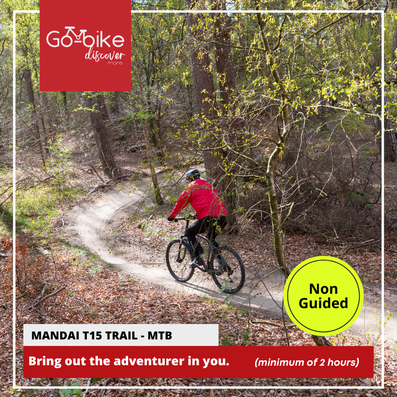 Singapore bike rentals Cycling tours Singapore Bicycle rental Singapore Explore Singapore by bike Singapore cycling routes GoBike SG Pedal-powered tours Singapore Cycling adventures Singapore Best cycling spots Singapore Family-friendly bike rentals