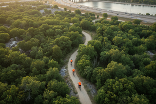 The background needs more forested area with a top view of the city